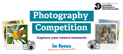 Photo Competition Banner
