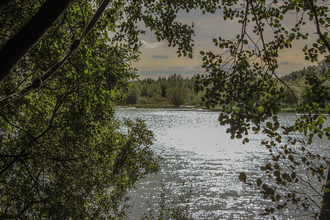 View of one of the Wigan Flashes lakes surrounded by trees
