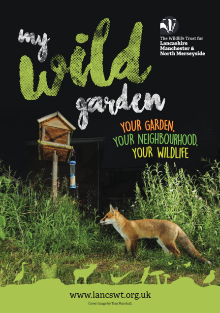 My Wild Garden guide cover. Text: My Wild Garden [Your garden, your neighbourhood, your wildlife]. Image: Fox in a garden beside a bird feeder.