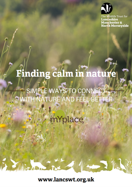 The front cover of Lancashire Wildlife Trust's 'Finding Calm in Nature' guide, featuring text on top of a picture of a wildflower meadow full of purple, white and yellow flowers