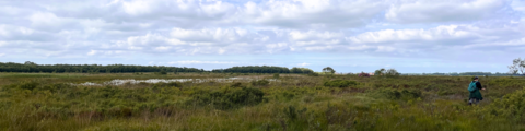 A landscape photo of Winmarleigh Moss during large heath butterfly surveying.