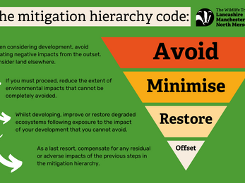 Mitigation hierarchy