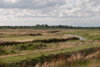 Lowland fen