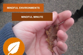 Mindful Minute