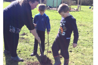 tree planting forest school