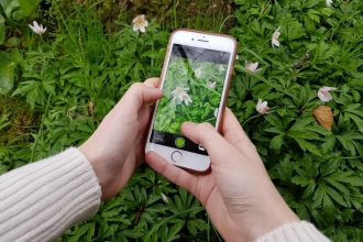 Wildlife recording inaturalist