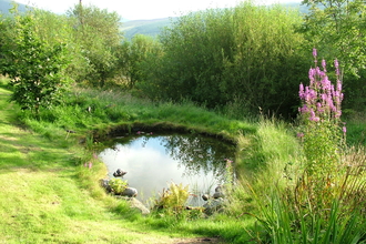 A rural garden with a pond and wild overgrown areas for wildlife