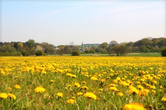 Croxteth Park