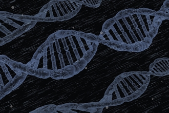 A visualisation showing the double helix structure of a DNA molecule