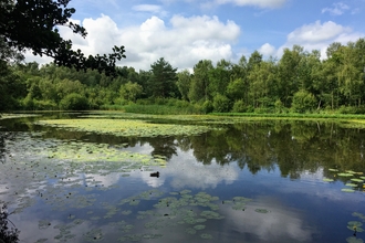 Mere Sands Wood 