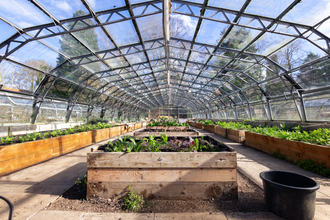 Greenhouse Project planters. March 24 by Alex Critchley