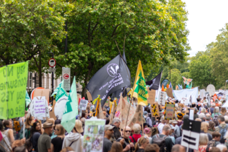 Flying the flag for Lancashire, by A.J.Critch Wildlife