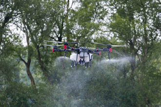 Drone in flight spraying liquid containing bulrush seeds