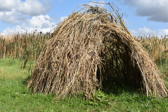 An experimental stone age house made from willow and reeds