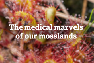 The medical marvels of our mosslands - heading