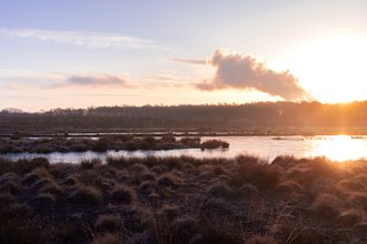 A frosty Little Woolden Moss.