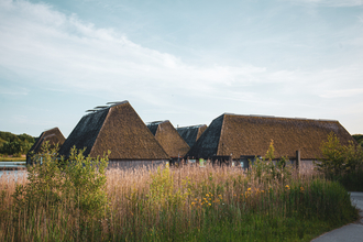 The Visitor Village at Brockholes nature reserve with a reedbed in the foreground