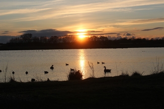 Sunset over a pool at Lunt Meadows with ducks and geese silhouetted in the water