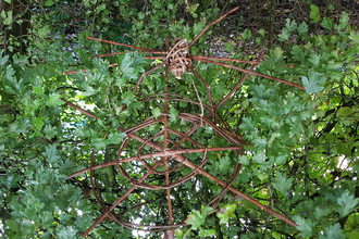 Willow Spider Web