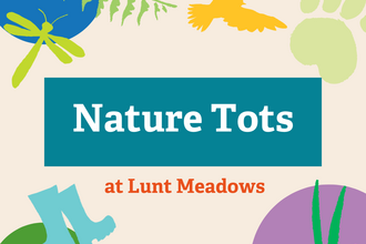 Text says Nature Tots at Lunt Meadows with colourful images of a paw print, flying bird, dragonfly, wellies, a fern lead and grass