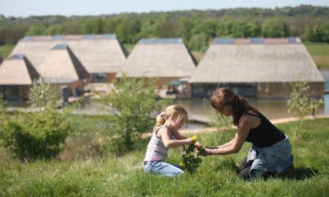 Brockholes