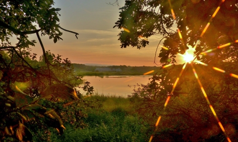 Brockholes Sunrise