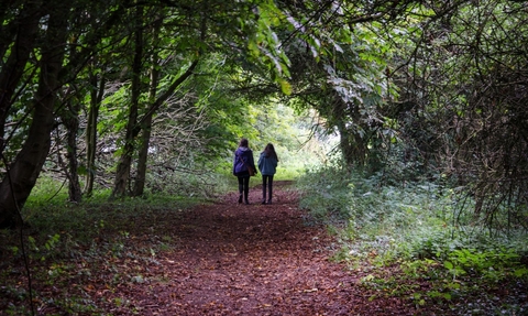 Two figures walking away from the camera along a leaf-strewn woodland path beneath trees