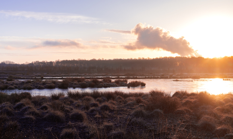 A frosty Little Woolden Moss.