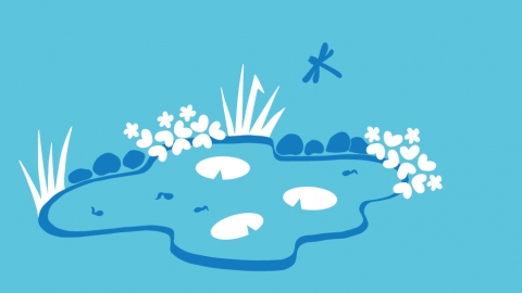 Simple actions wildlife pond illustration