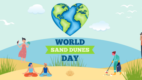 World Sand Dunes Day