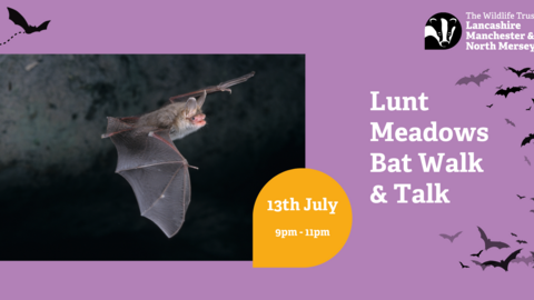 bat walk lunt meadows advert 13th july