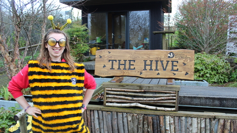 Bee at The Hive