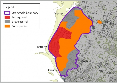 red squirrel map cropped