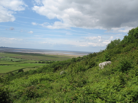 Warton Crag