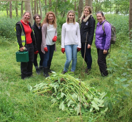 Balsam Bashing Team