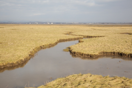 South Walney Island, Cumbria