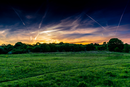 Nob End SSSI as the sunset casts an orange glow above the trees