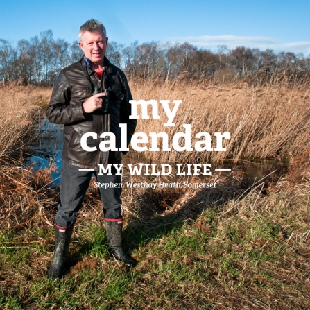 Stephen standing in front of wetland