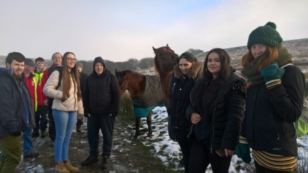 Meeting horses on a Myplace nature walk