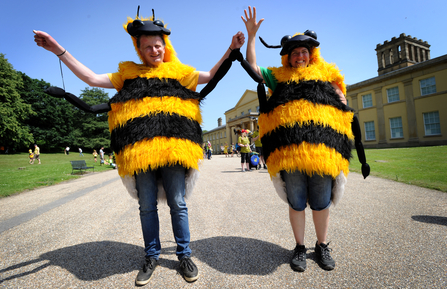 Two people dressed as bees at the 2019 Manchester Festival of Nature