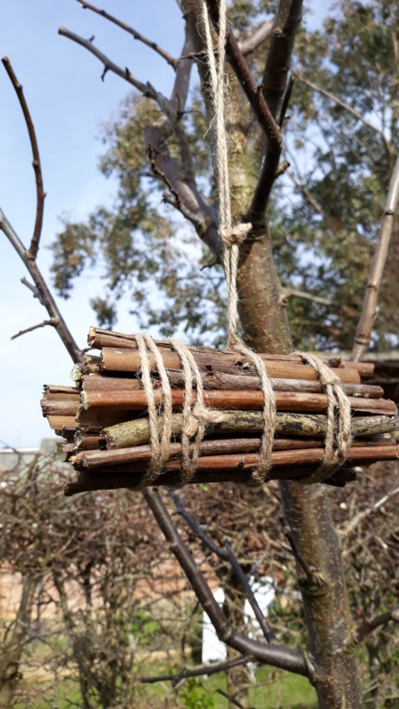 Simple bug hotel