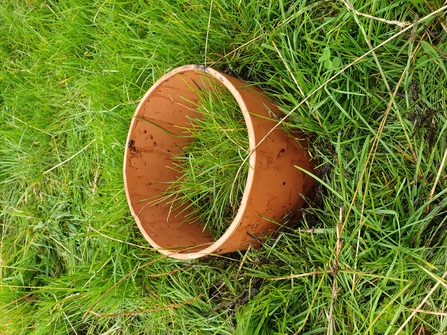 Gas emission monitoring collar sunk into a field at Winmarleigh