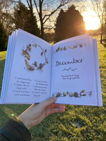 The Wild Remedy book being held open against a sunset