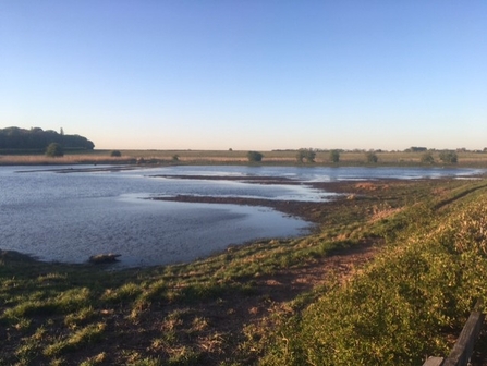 The pools of Lunt Meadows Nature Reserve in Maghull, Merseyside