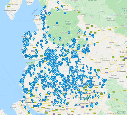 The results of our 2020 hedgehog survey | The Wildlife Trust for ...