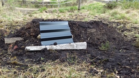 Hibernaculum - a low mound of soil with a ridged metal plate