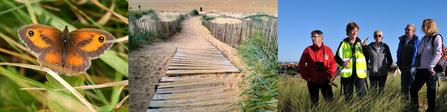 Fylde Sand Dunes Montage