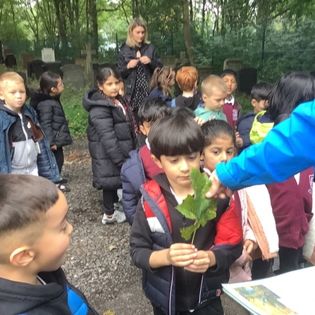 School children standing in a wooded area with their teachers, examining tree leaves