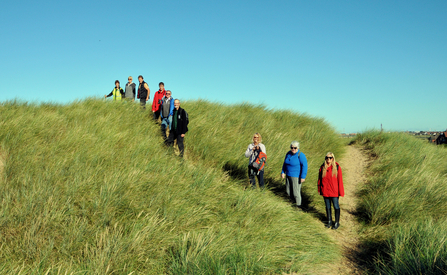 Fylde Sand Dunes Guided Walk ©Brian Jones