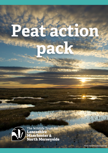 Peat action pack front cover showing a peatland scene at sunrise